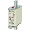 WKŁADKA TOPIKOWA NH000 35A GG /500V