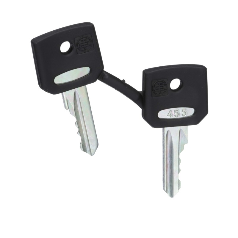KOMPLET KLUCZY NR.455 ZBG455