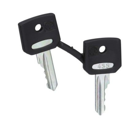 Zestaw 2 kluczy nr 455 ZBG455 Schneider Electric Harmony